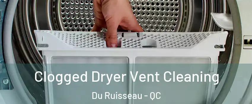  Clogged Dryer Vent Cleaning Du Ruisseau - QC