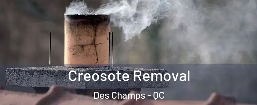 Creosote Removal Des Champs - QC