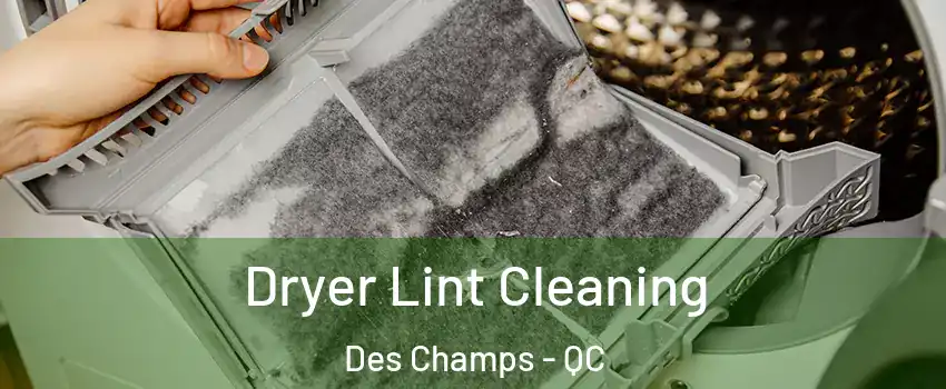  Dryer Lint Cleaning Des Champs - QC