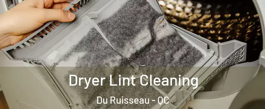  Dryer Lint Cleaning Du Ruisseau - QC