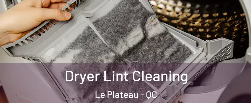  Dryer Lint Cleaning Le Plateau - QC