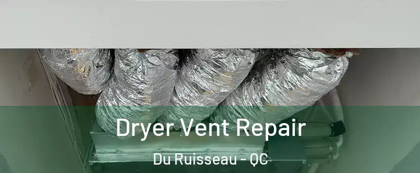 Dryer Vent Repair Du Ruisseau - QC