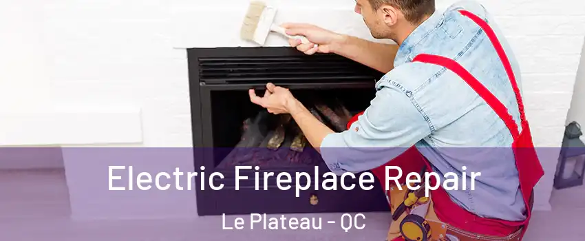  Electric Fireplace Repair Le Plateau - QC
