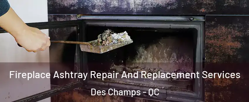  Fireplace Ashtray Repair And Replacement Services Des Champs - QC