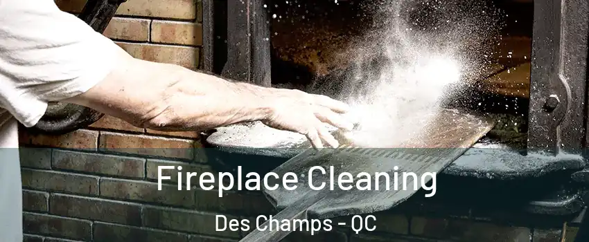 Fireplace Cleaning Des Champs - QC