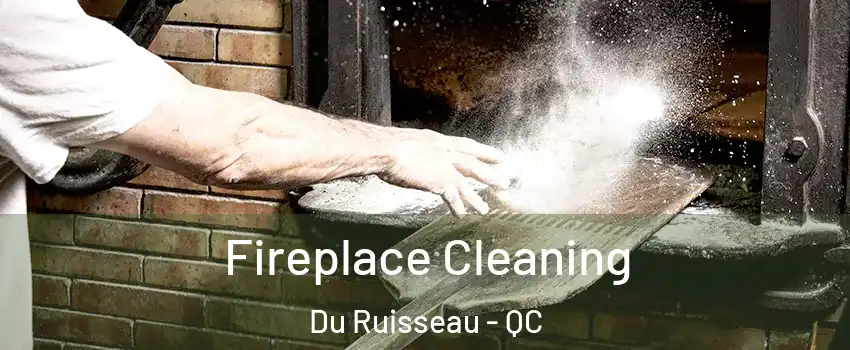  Fireplace Cleaning Du Ruisseau - QC