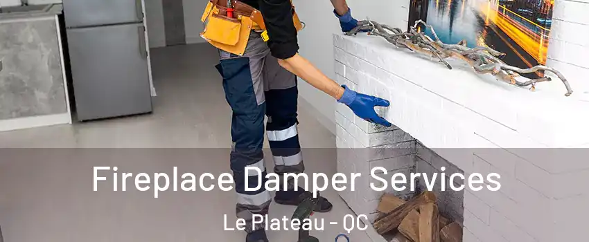 Fireplace Damper Services Le Plateau - QC