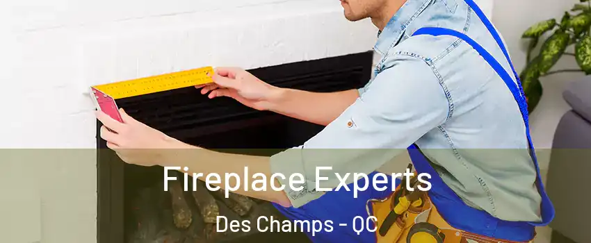 Fireplace Experts Des Champs - QC