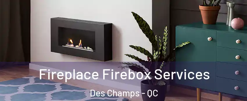  Fireplace Firebox Services Des Champs - QC