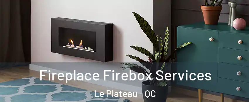  Fireplace Firebox Services Le Plateau - QC