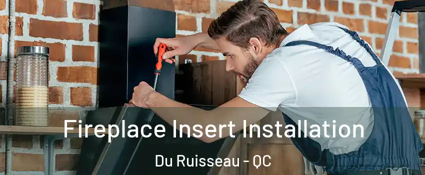  Fireplace Insert Installation Du Ruisseau - QC