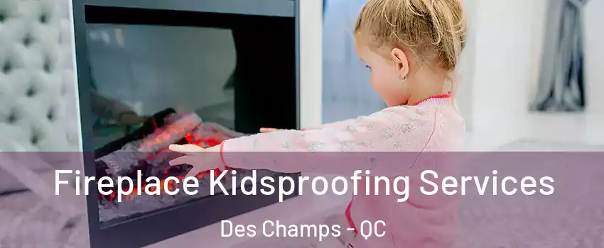 Fireplace Kidsproofing Services Des Champs - QC