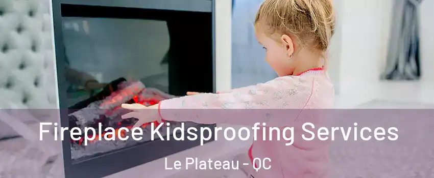  Fireplace Kidsproofing Services Le Plateau - QC
