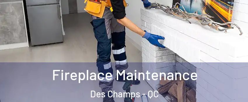 Fireplace Maintenance Des Champs - QC