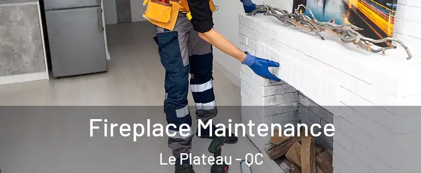  Fireplace Maintenance Le Plateau - QC