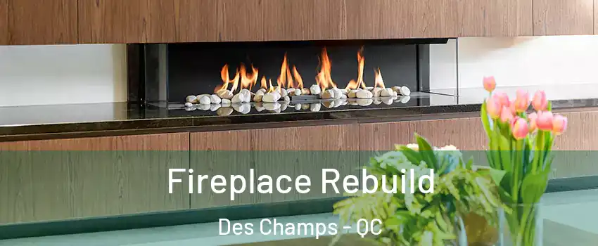  Fireplace Rebuild Des Champs - QC