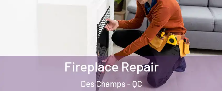  Fireplace Repair Des Champs - QC