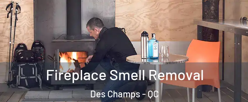 Fireplace Smell Removal Des Champs - QC