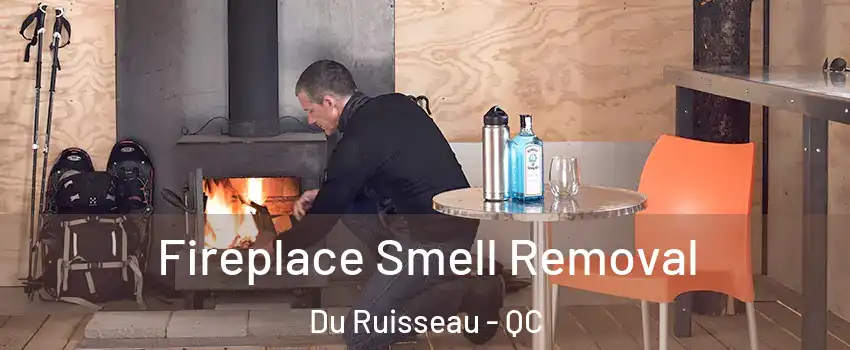  Fireplace Smell Removal Du Ruisseau - QC