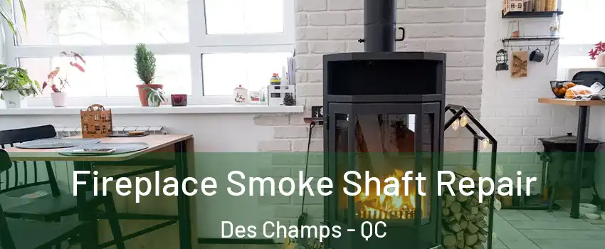  Fireplace Smoke Shaft Repair Des Champs - QC