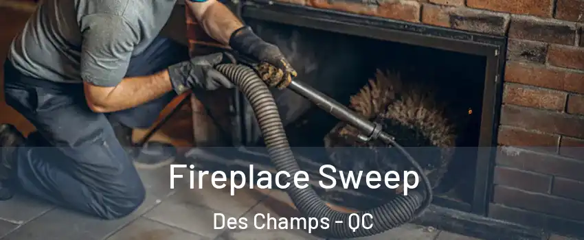  Fireplace Sweep Des Champs - QC