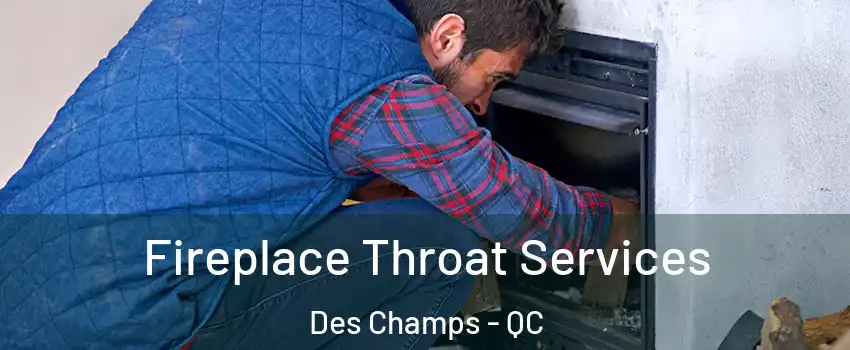 Fireplace Throat Services Des Champs - QC