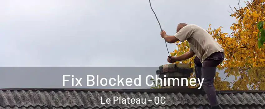  Fix Blocked Chimney Le Plateau - QC