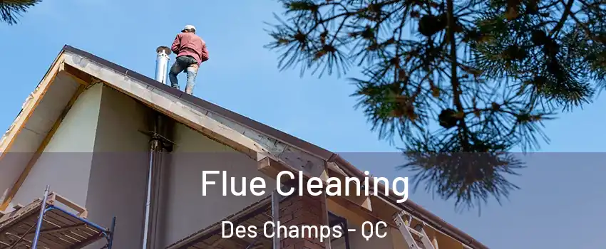  Flue Cleaning Des Champs - QC