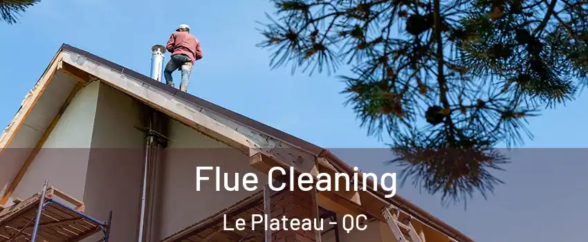  Flue Cleaning Le Plateau - QC