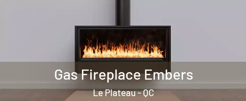 Gas Fireplace Embers Le Plateau - QC