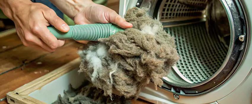 Best Dryer Lint Removal Company in Sainte Therese, Quebec