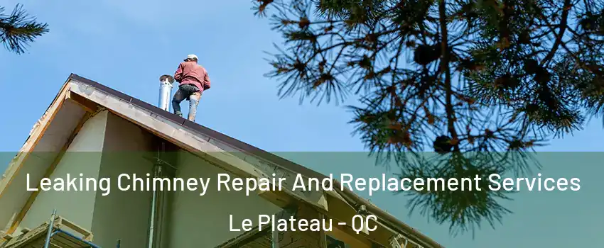  Leaking Chimney Repair And Replacement Services Le Plateau - QC