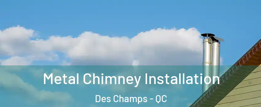  Metal Chimney Installation Des Champs - QC