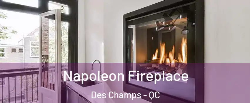 Napoleon Fireplace Des Champs - QC