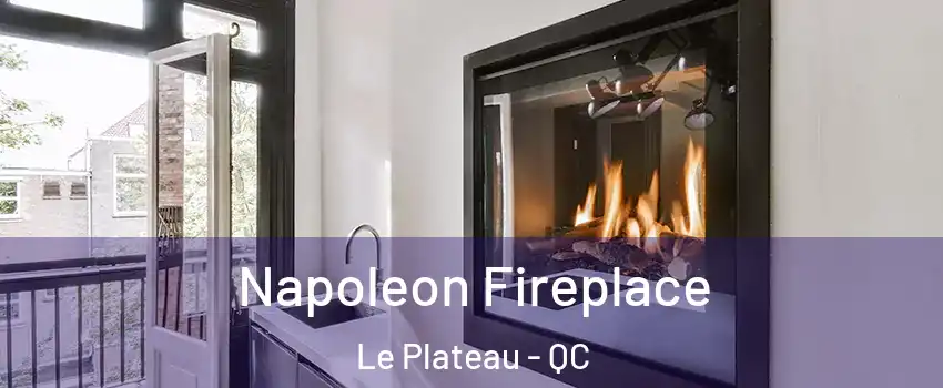  Napoleon Fireplace Le Plateau - QC