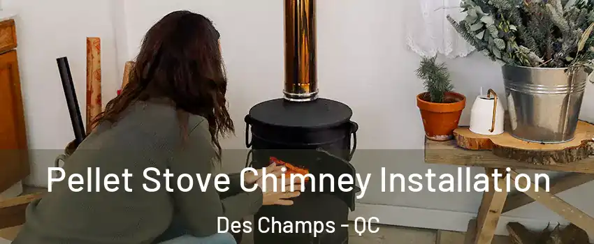  Pellet Stove Chimney Installation Des Champs - QC
