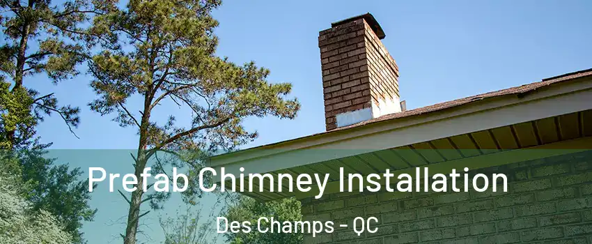 Prefab Chimney Installation Des Champs - QC