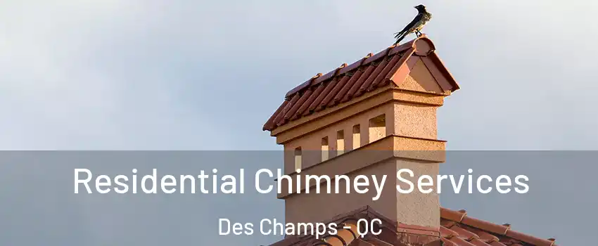  Residential Chimney Services Des Champs - QC