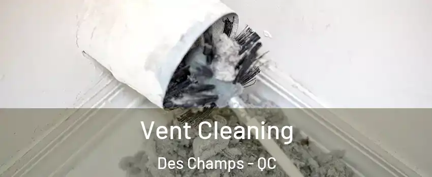 Vent Cleaning Des Champs - QC