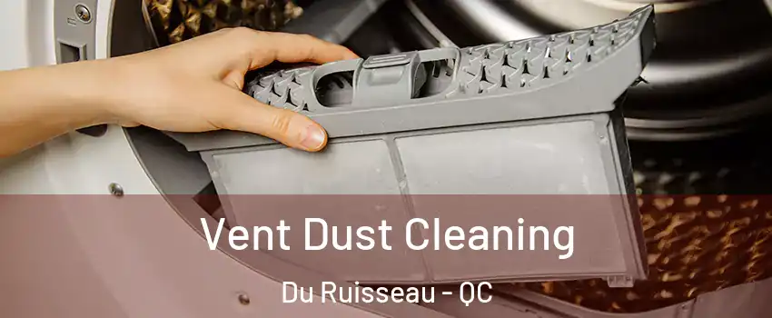  Vent Dust Cleaning Du Ruisseau - QC