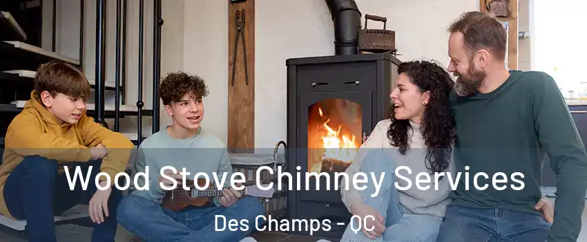  Wood Stove Chimney Services Des Champs - QC