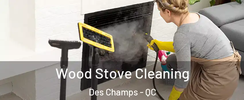  Wood Stove Cleaning Des Champs - QC