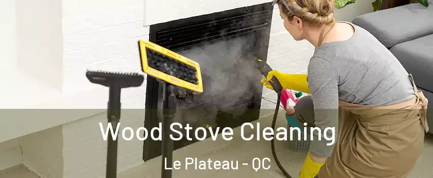  Wood Stove Cleaning Le Plateau - QC