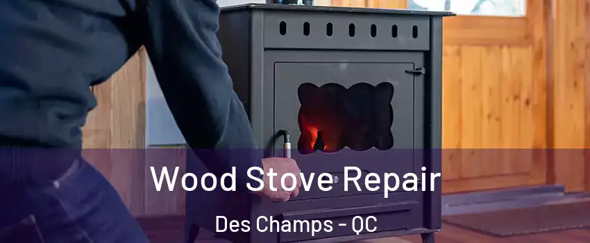  Wood Stove Repair Des Champs - QC